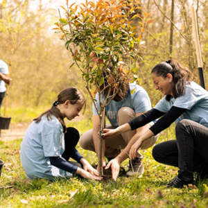 Volunteer Engagement Masterclass - Coming Soon!
